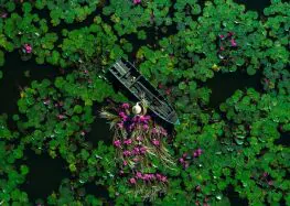 Sàn Grating Mạ Kẽm Tại Đồng Tháp Cùng Công Ty Hòa Bình