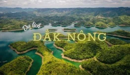 Sàn Grating Mạ Kẽm Uy Tín, Chất Lượng Cao và Giá Rẻ Tại Đắk Nông